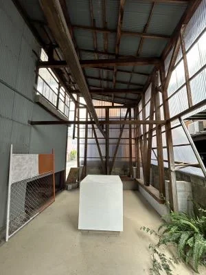 View 11