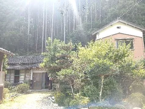 View 11