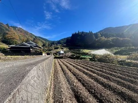 View 2