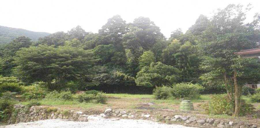 View 2