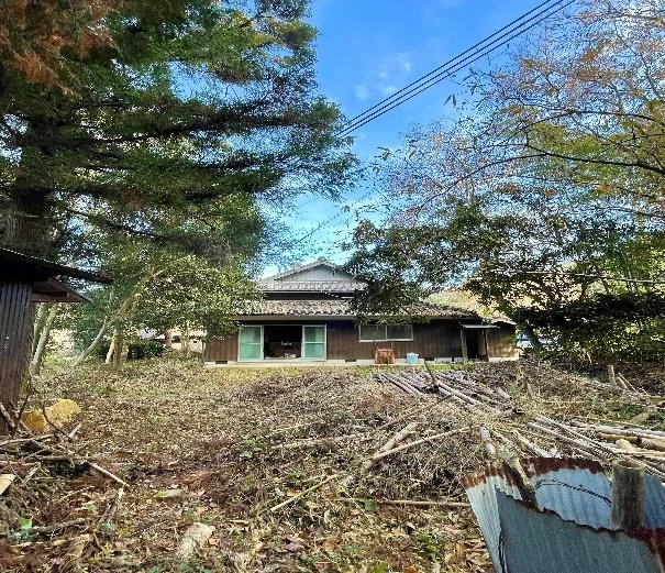 View 5