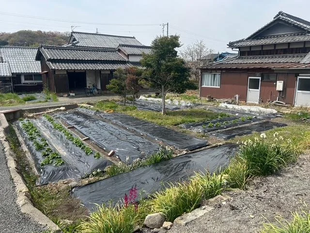 View 8