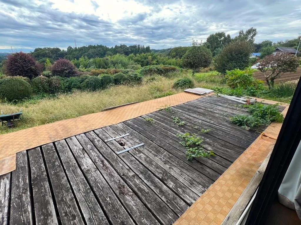 View 3