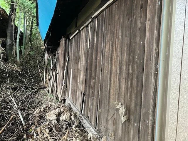 View 24