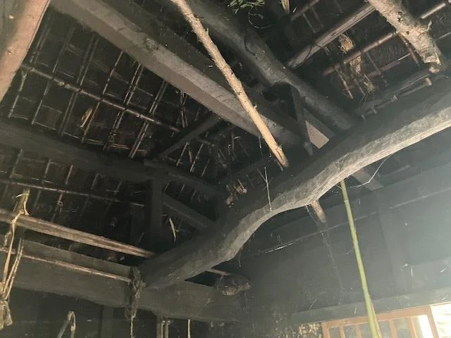 View 26