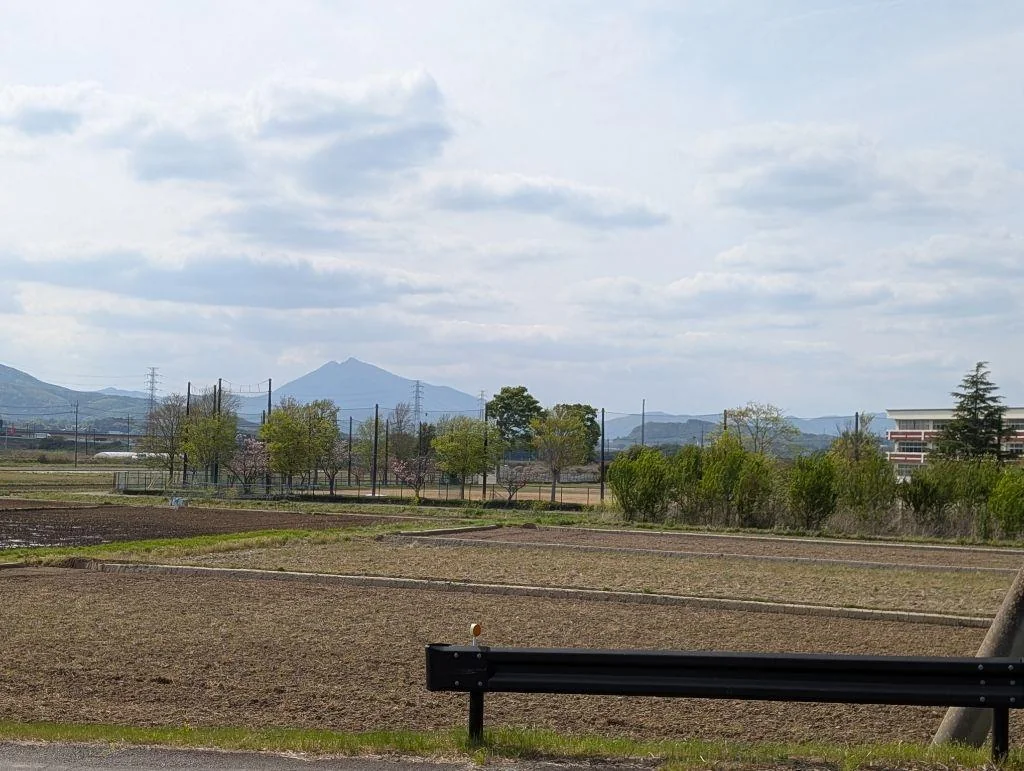 View 4