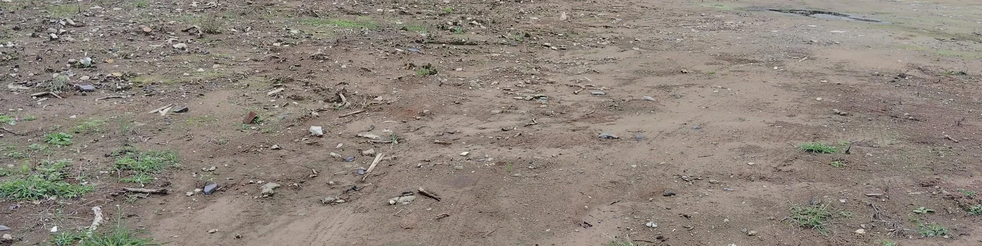 View 5