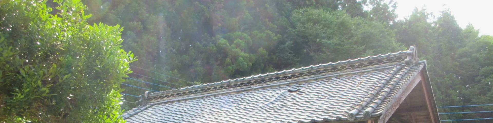 View 22