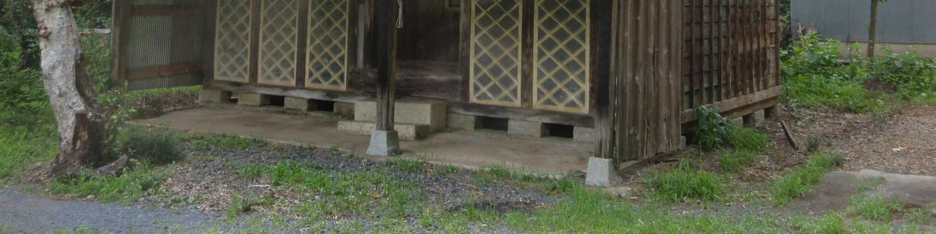 View 24