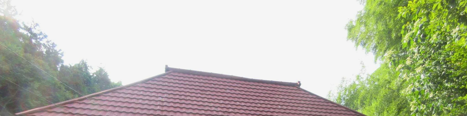 View 25