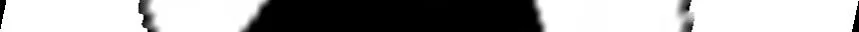 View 29