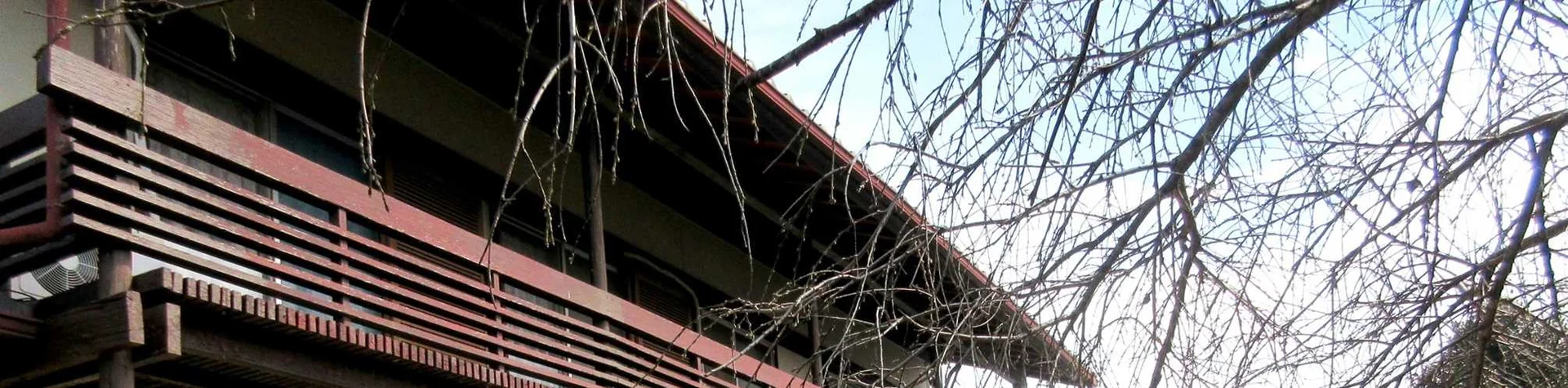 View 16