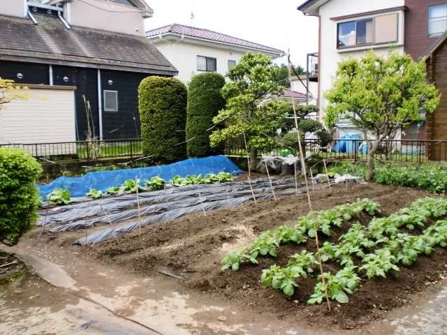 View 9