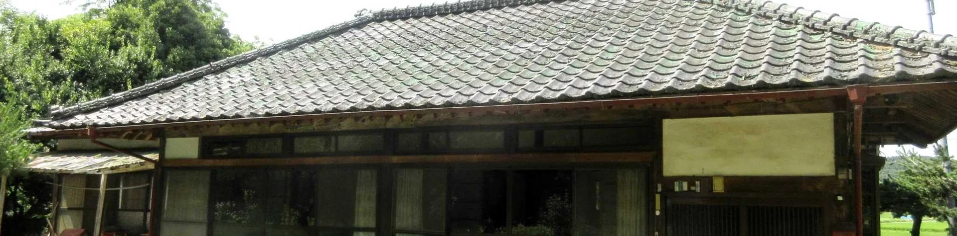 View 15