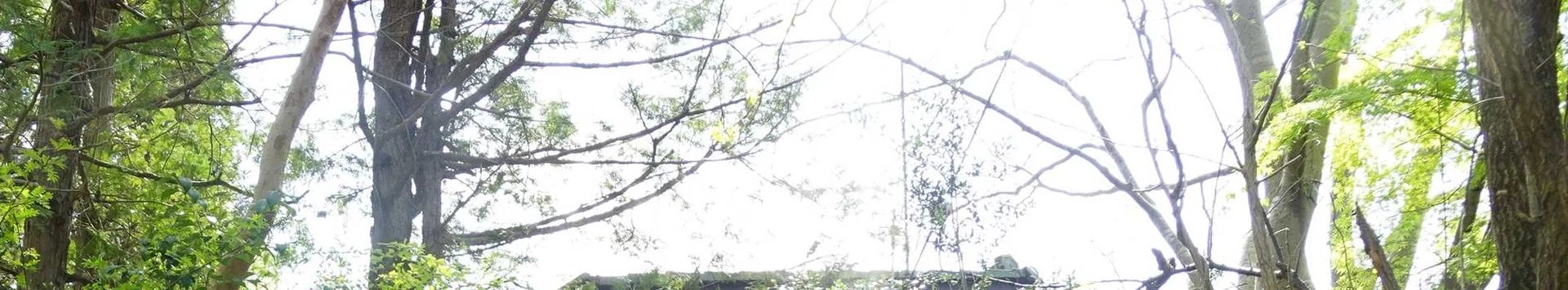 View 23
