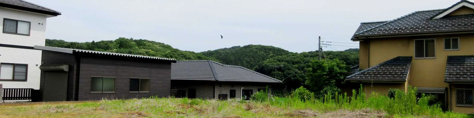 View 3