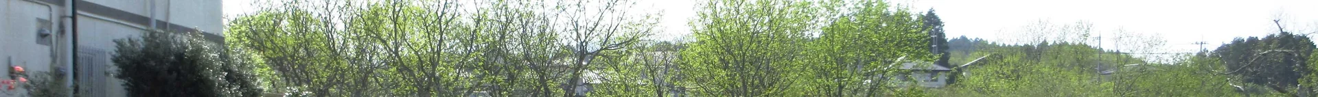 View 10