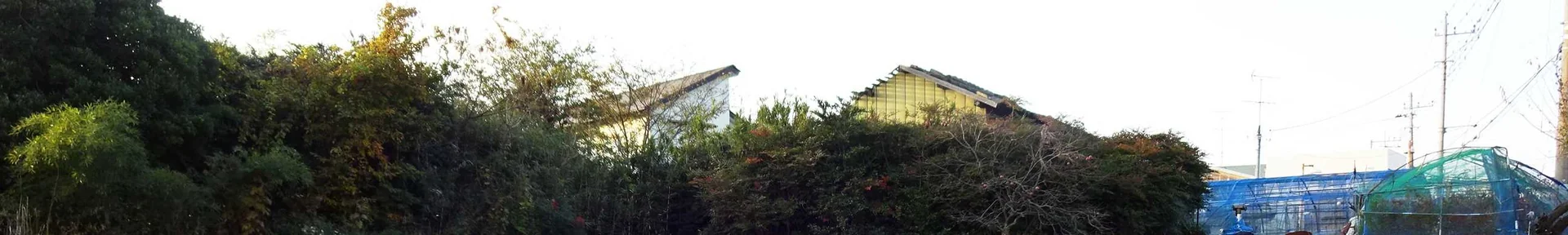View 7