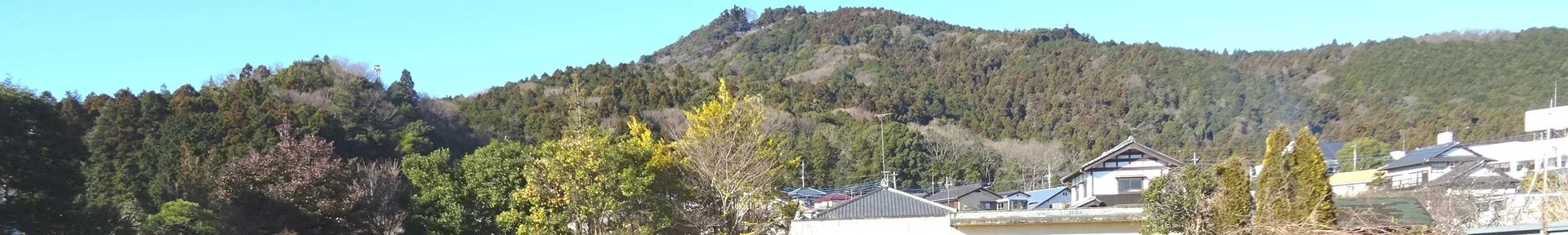 View 6