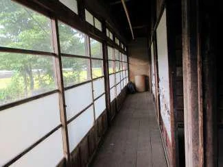 View 8