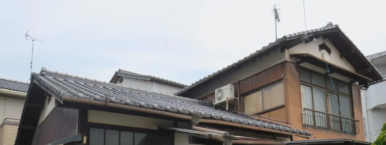 View 3