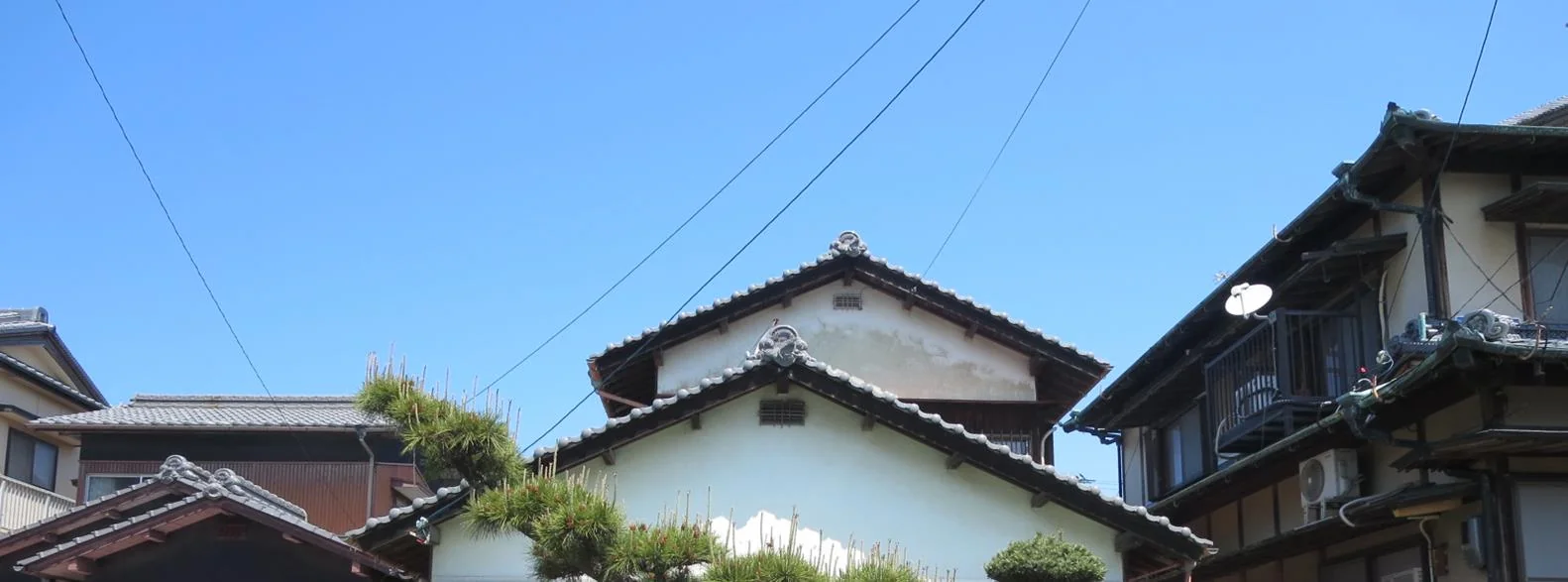 View 2