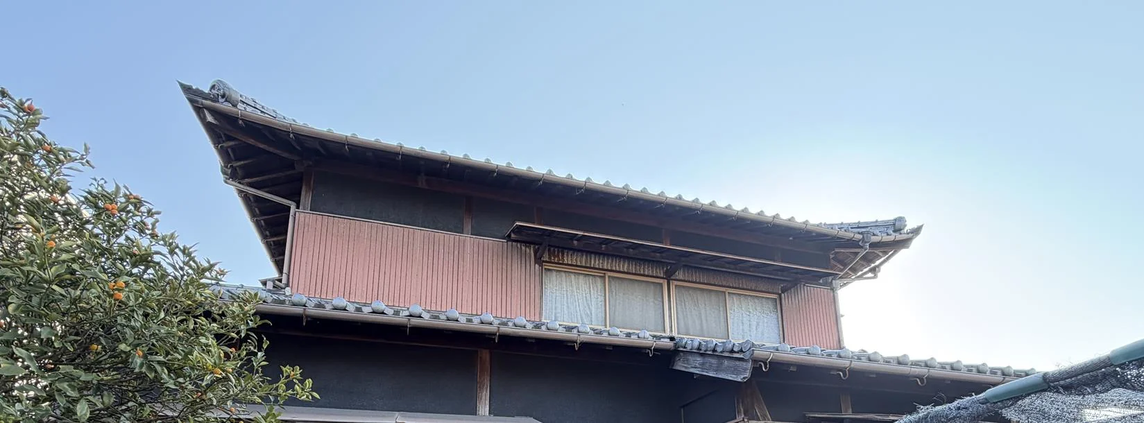 View 3