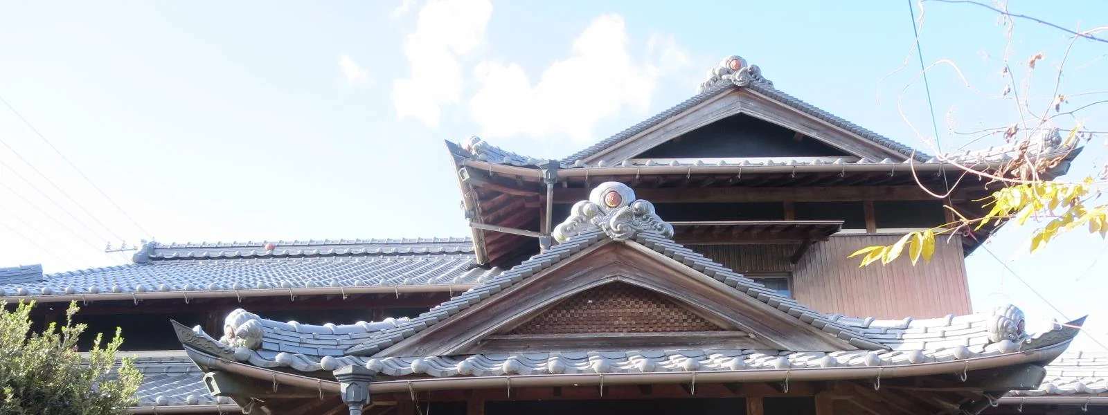 View 9