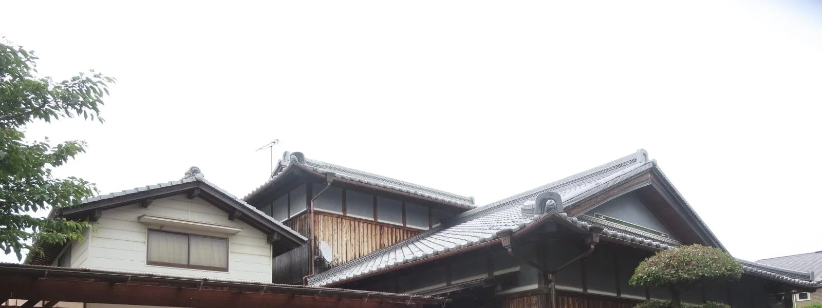 View 2