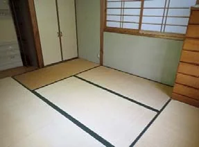 View 5