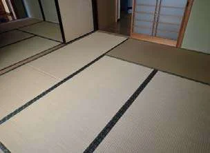 View 5