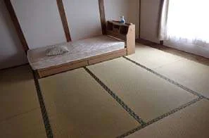View 7