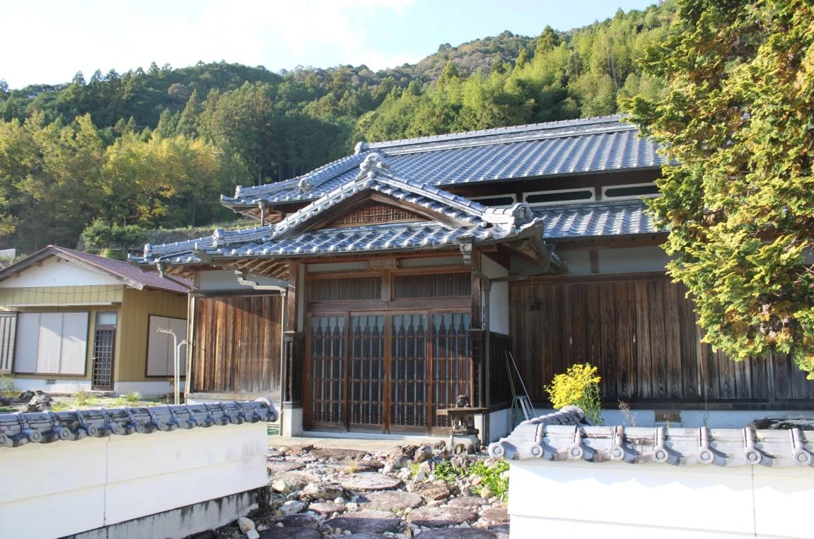 View 8
