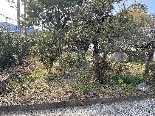 View 11
