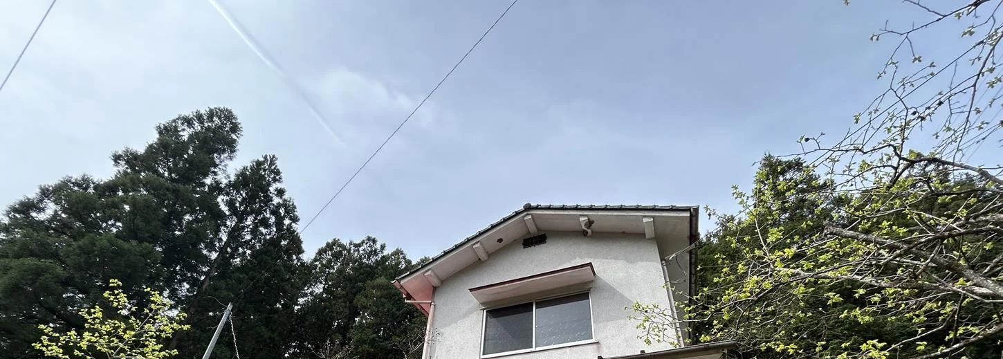 View 3