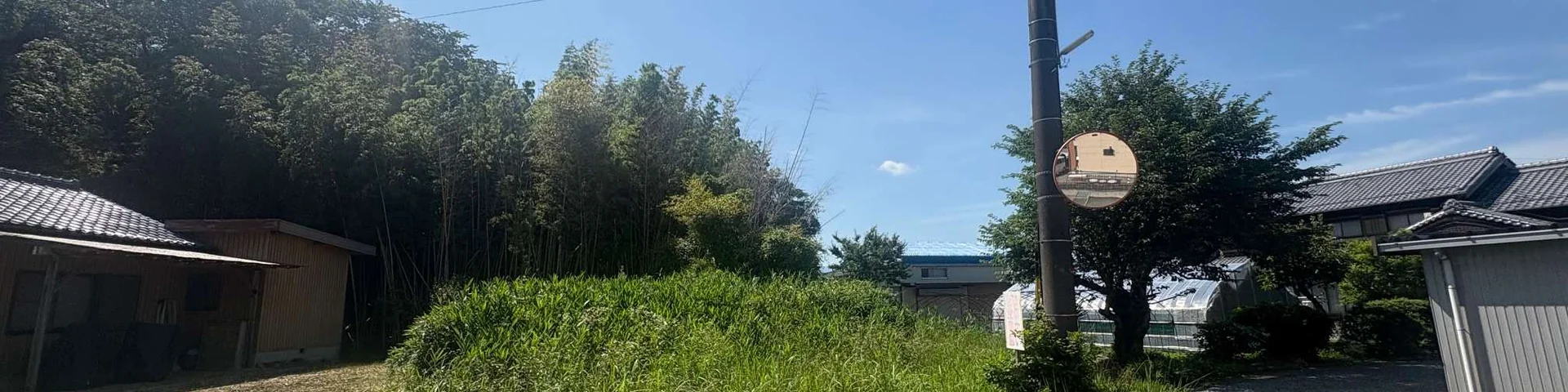 View 3
