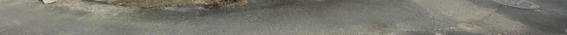 View 11
