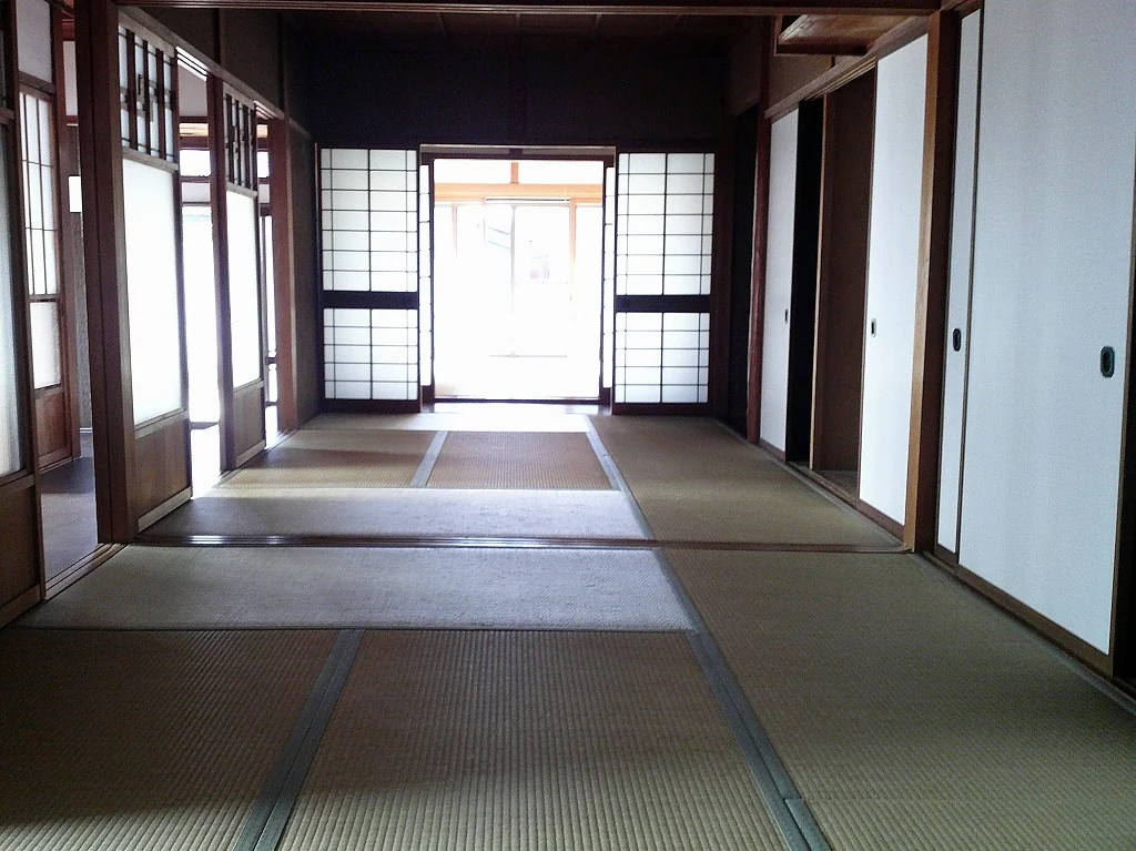View 7