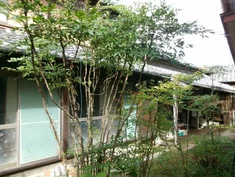 View 7