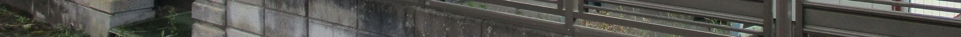 View 14