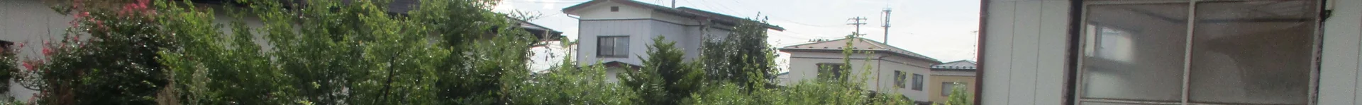 View 7