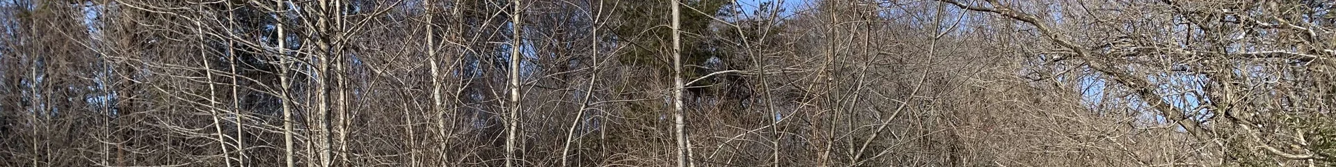 View 14