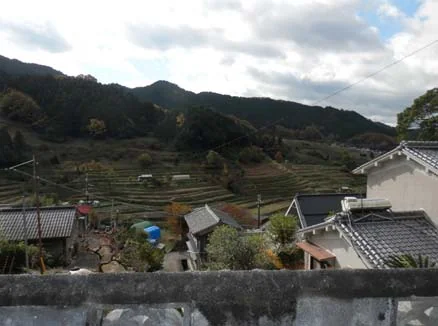 View 8