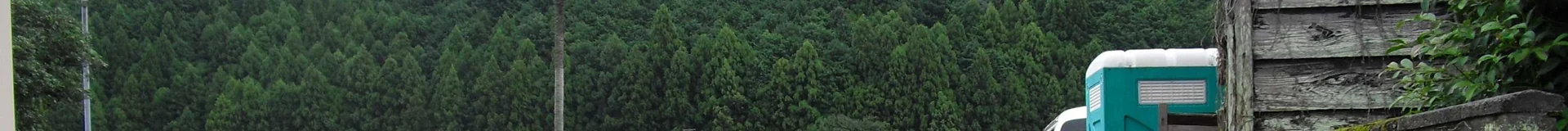 View 12