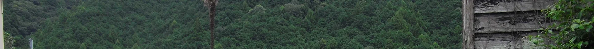 View 4