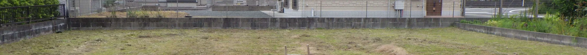 View 10