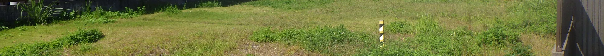 View 5