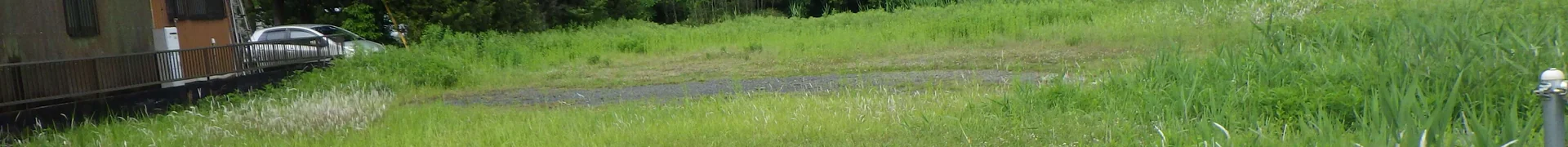View 10