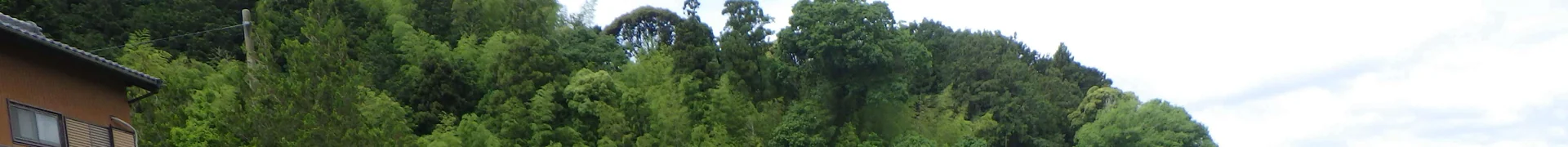 View 14
