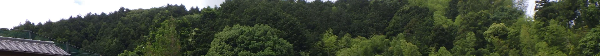 View 15